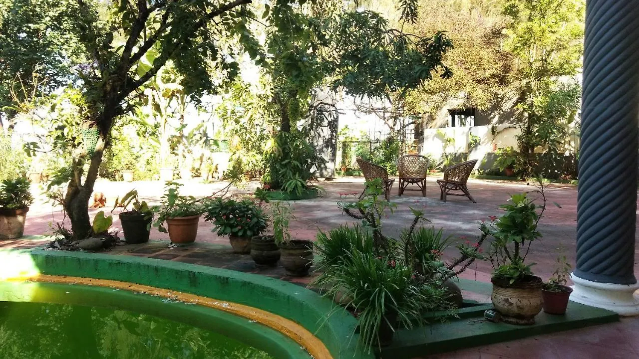 Kadalamma Beach Homestay Alappuzha Bed & Breakfast